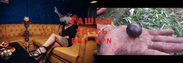 гидра Галич
