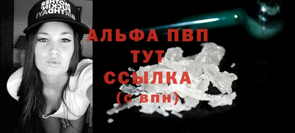 гидра Галич