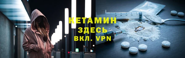 прущие грибы Ладушкин