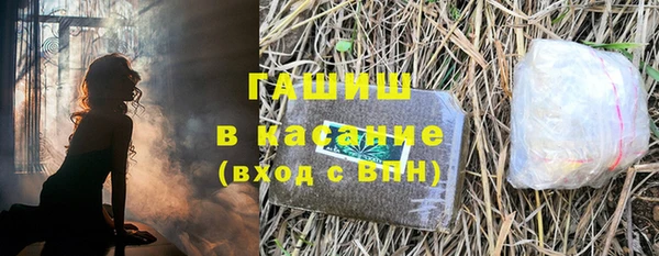 гидра Галич
