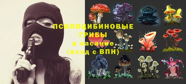 крисы Кукмор