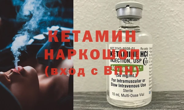 гидра Галич