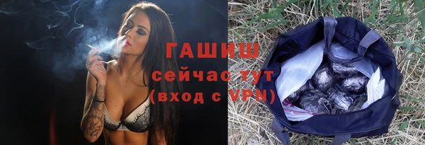 твердый Гвардейск