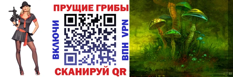 Галлюциногенные грибы Psilocybe  Красноперекопск 